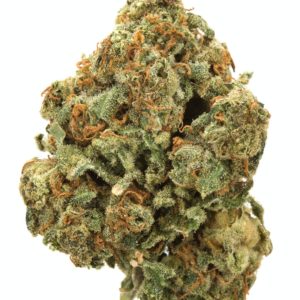 Moby Dick Moby Dick is a sativa marijuana Buy Dick weed online California ,Purchase Moby Dick San Jose, Moby Strains for sale Los Angeles , Order Moby Dick SAN Diego