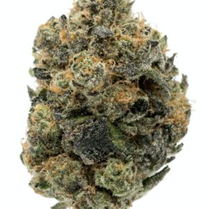 Girl Scout Cookies strain,Buy Girl Scout Cookies strain Online California , Where to order GSC weed strain San Francisco , Weed for sale San Diego