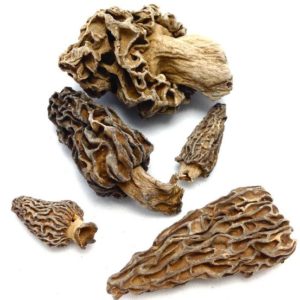 Dried morel mushrooms