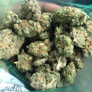Green house cookies Strain also known as "Girl Scout Cookies,  Buy Green cookies Strain online California Purchase Green cookies Strain San Jose