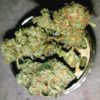 Buy Ghost Train Haze California , Order Sativa Weed Strain Los Angeles , Where to purchase Ghost Train Haze Online San Diego , Weed For sale San Jose