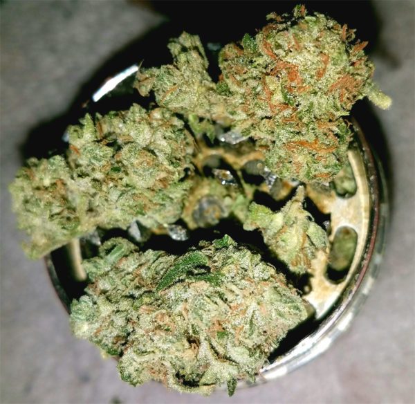 Buy Ghost Train Haze California , Order Sativa Weed Strain Los Angeles , Where to purchase Ghost Train Haze Online San Diego , Weed For sale San Jose