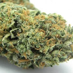 Sunset Sherbert ,Buy Sunset Sherbert Strain California , Where to order weed In Los Angeles