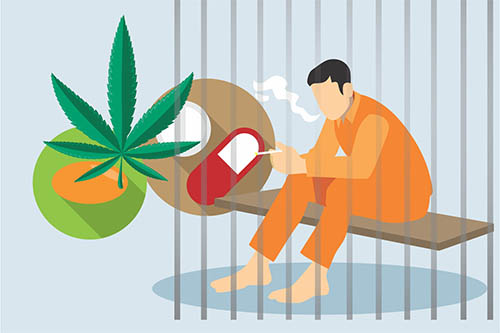 Status Hukum Ganja di Indonesia: Ilegal untuk Kepemilikan, Penggunaan, dan Perdagangan