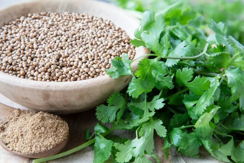 Saya Order Daun Ketumbar Online, Yang Sampai Daun 'Khusus': 3 Hari Saya Bingung Mau Lapor Polisi atau Tumbuk Jadi Bumbu