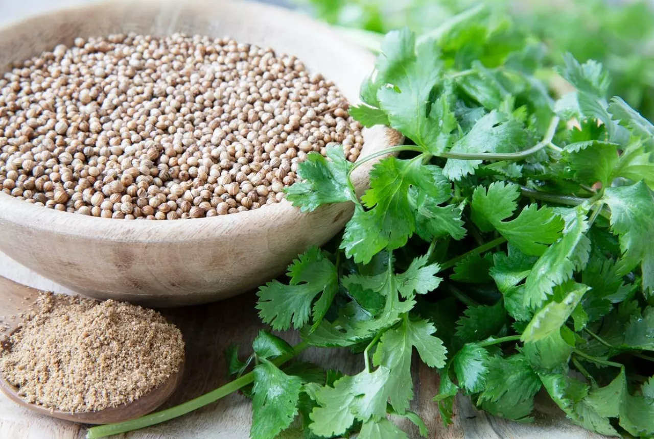 Saya Order Daun Ketumbar Online, Yang Sampai Daun 'Khusus': 3 Hari Saya Bingung Mau Lapor Polisi atau Tumbuk Jadi Bumbu