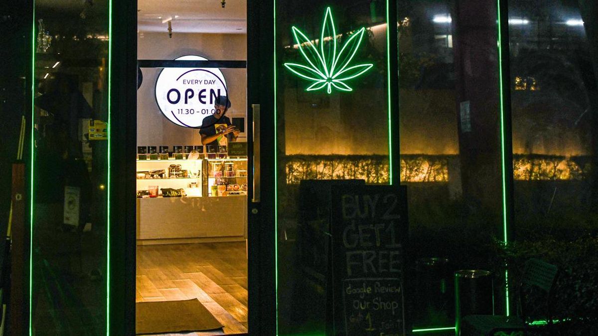 Dari Dilarang Jadi Dicari: Rahasia Toko Ganja Online Tumbuh 300% di 2026 Tanpa Google Ads