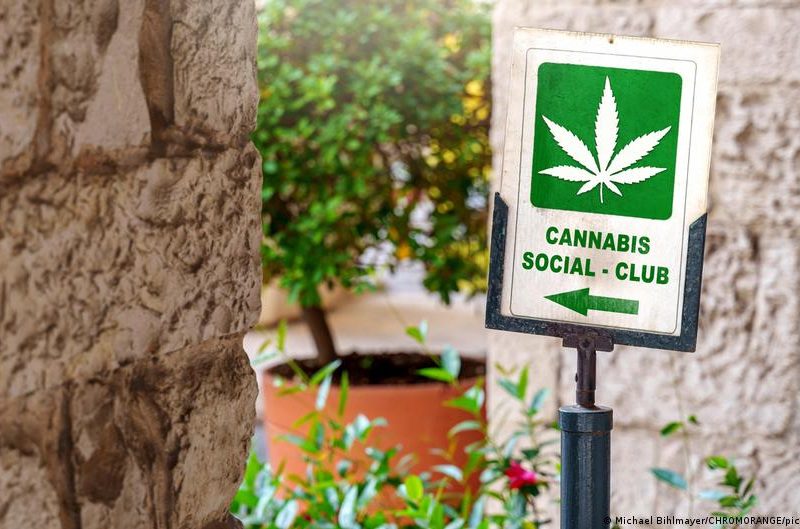 Toko Ganja Online di 2026: Ketika Industri Cannabis Makin Digital, Bagaimana Konsumen Membedakan Layanan Legal dan Berisiko?