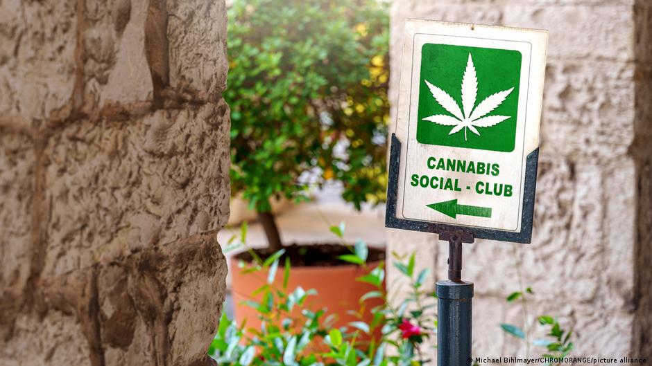 Toko Ganja Online di 2026: Ketika Industri Cannabis Makin Digital, Bagaimana Konsumen Membedakan Layanan Legal dan Berisiko?